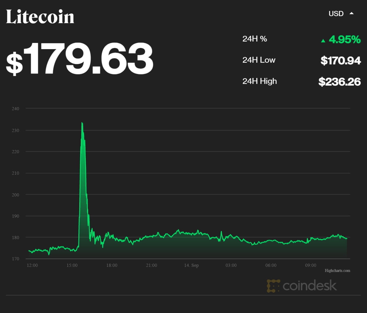 La valeur du Litecoin a bondi en 15 minutes avant de revenir à la normale