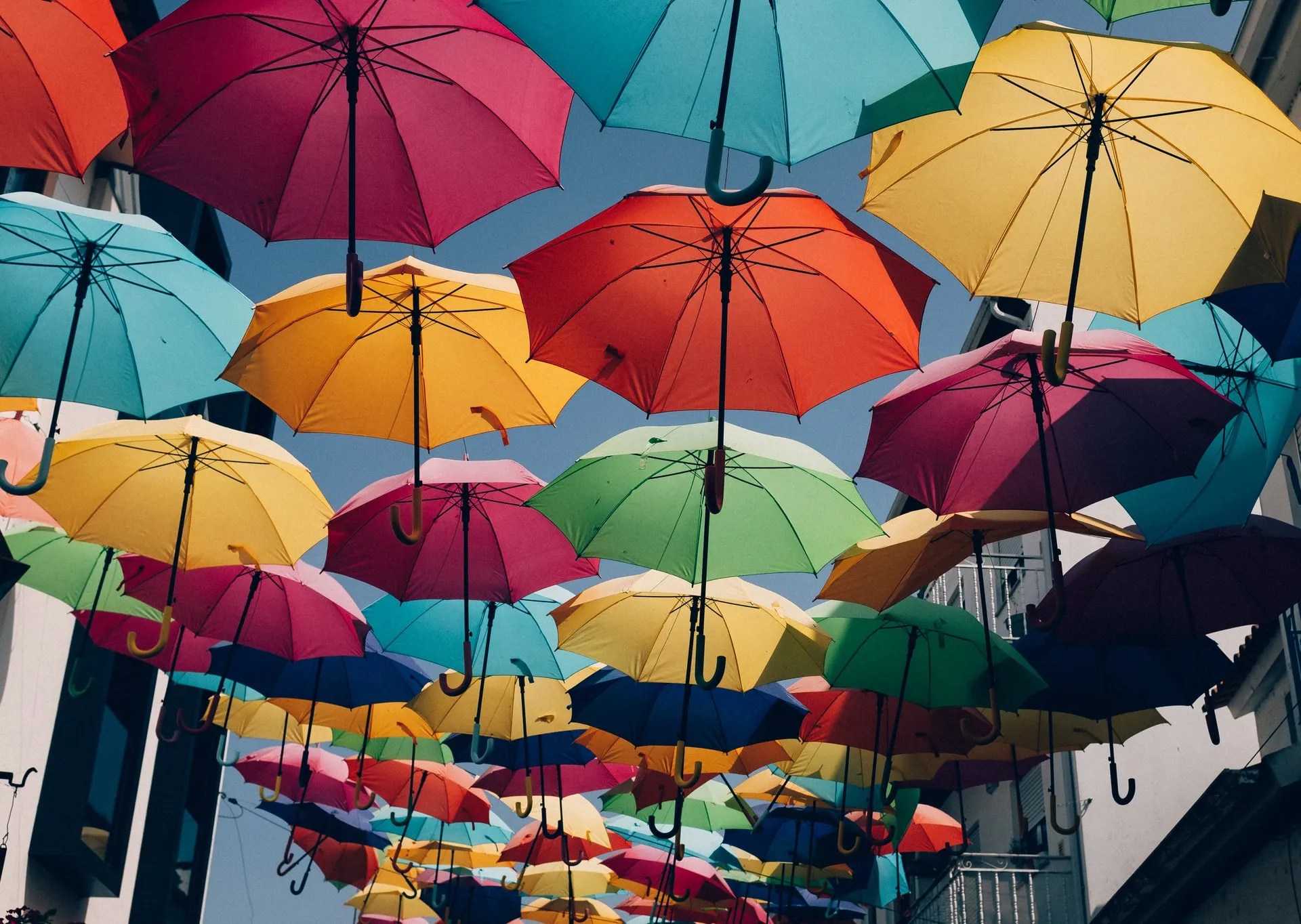 Umbrellas under clear sky in a street of Agueda, Portugal