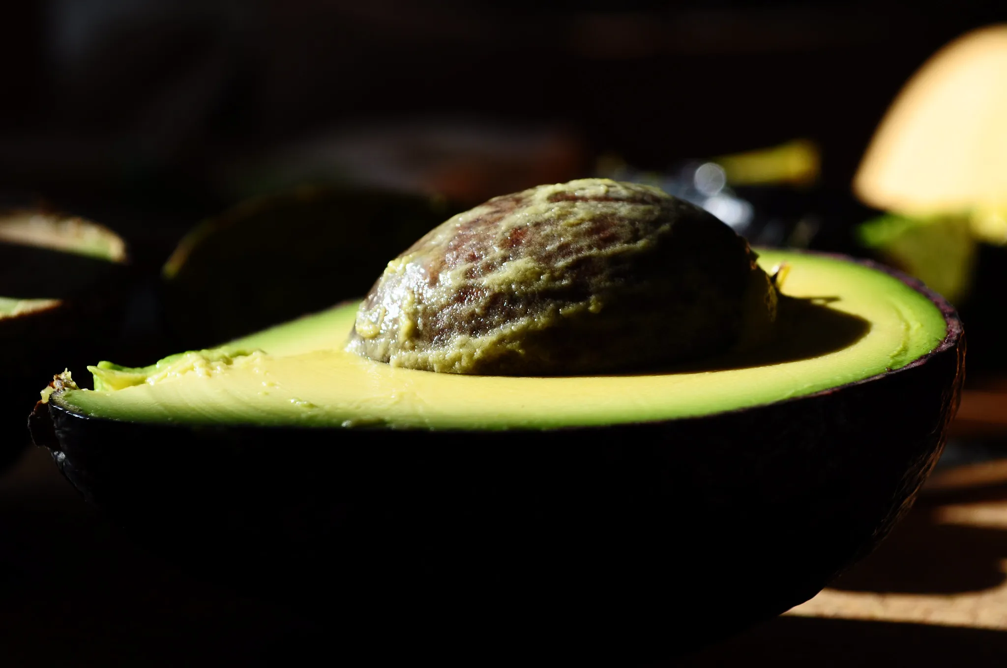 Avocat mexicain