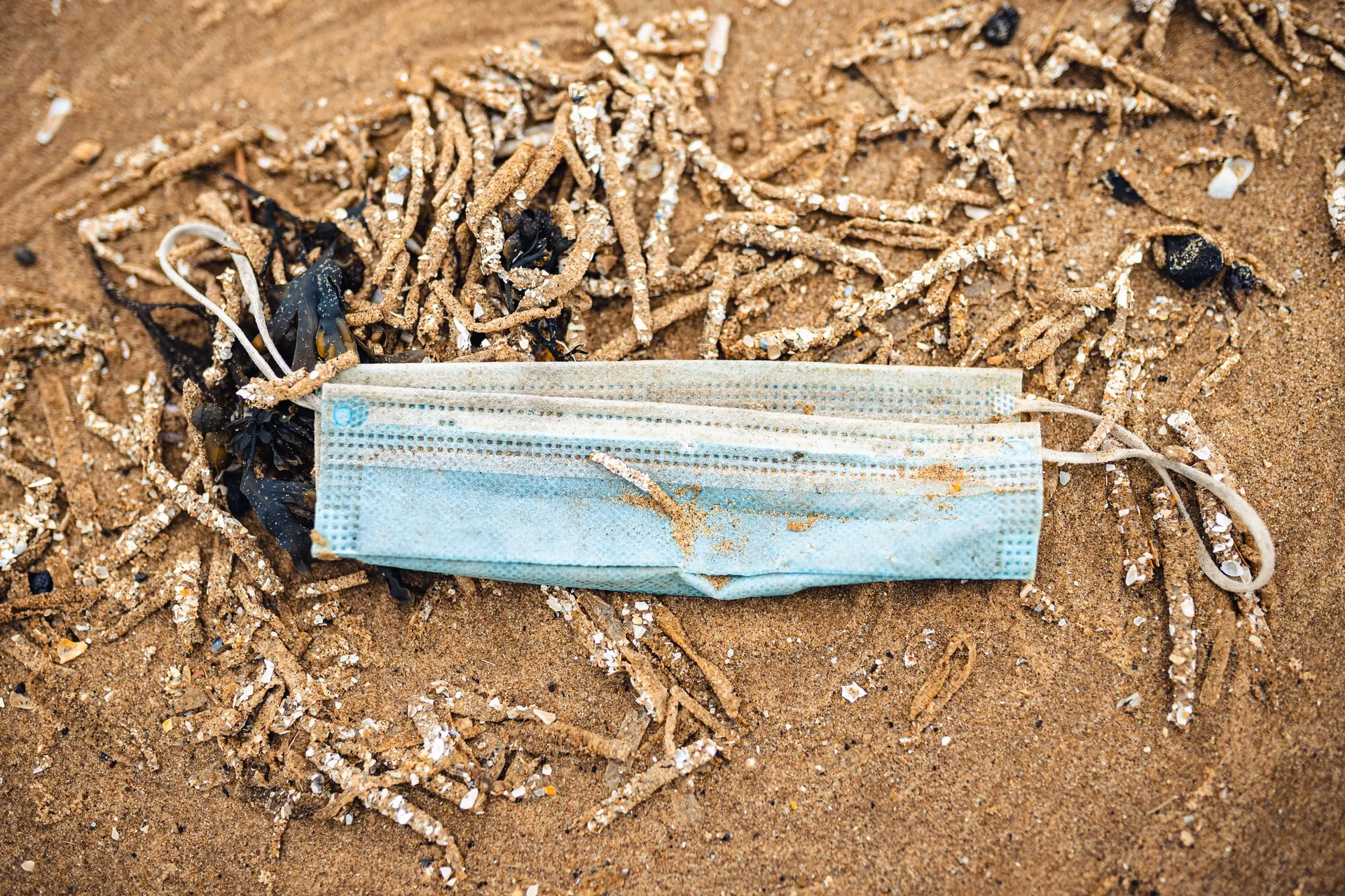 Déchet médical : un masque chirurgical sur la plage