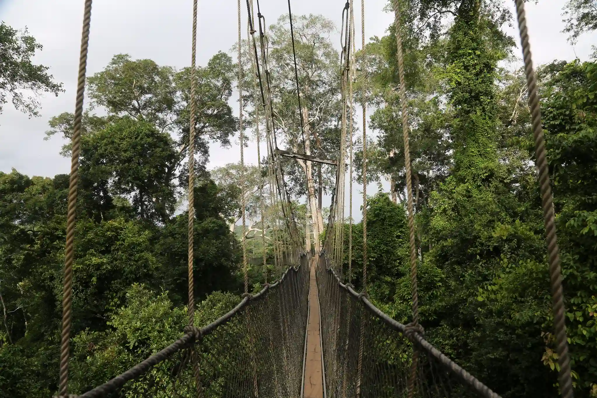 Kakum national park in Ghana