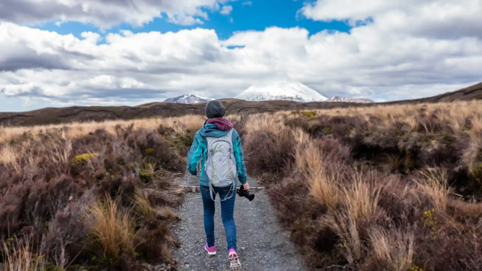 New Zealand landscape traveler