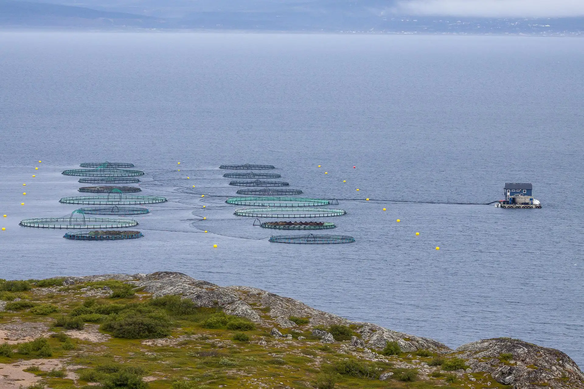 Fish farming in Norway