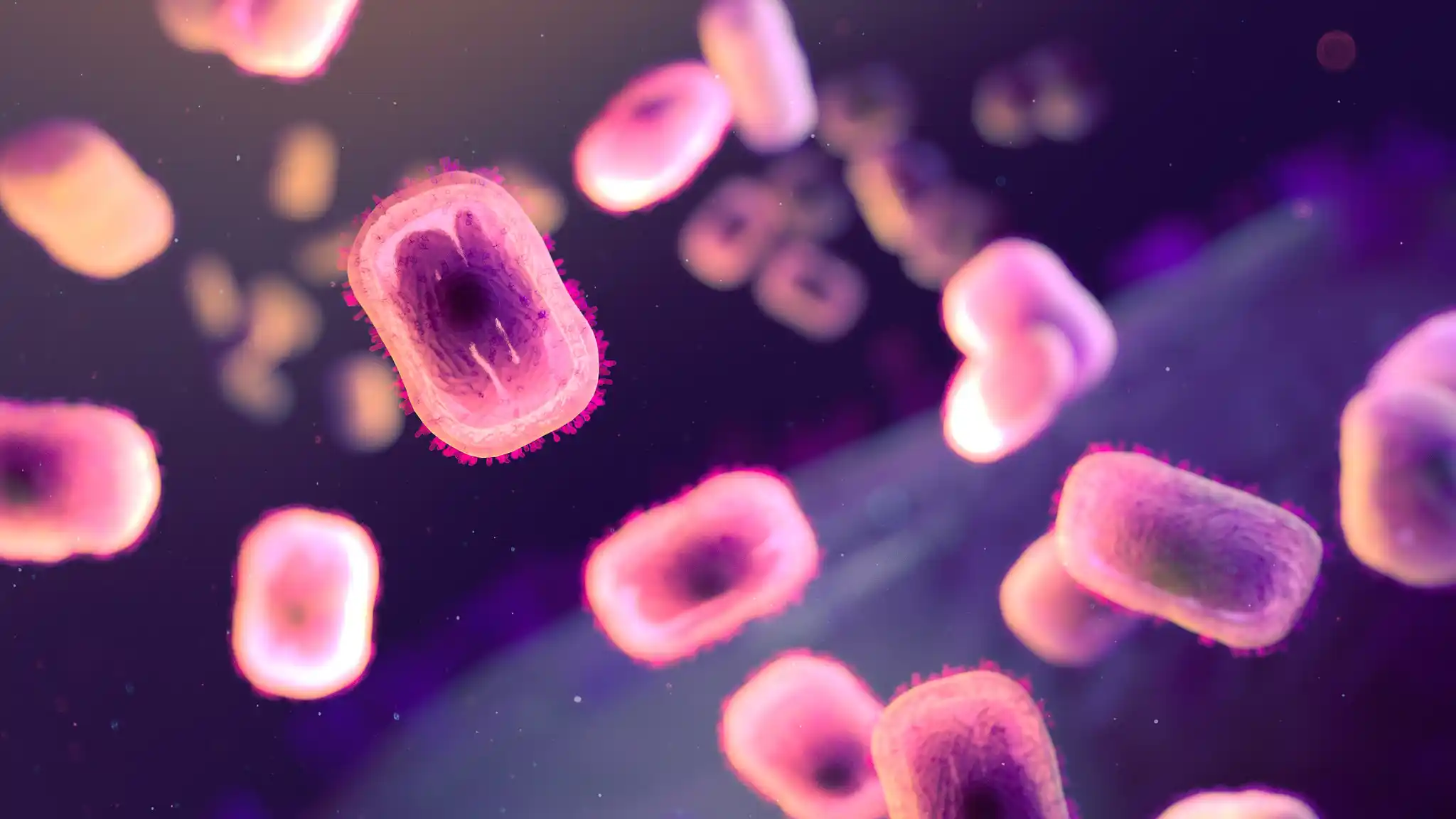 Brick-shaped monkeypox virions, the extracellular forms of a virus