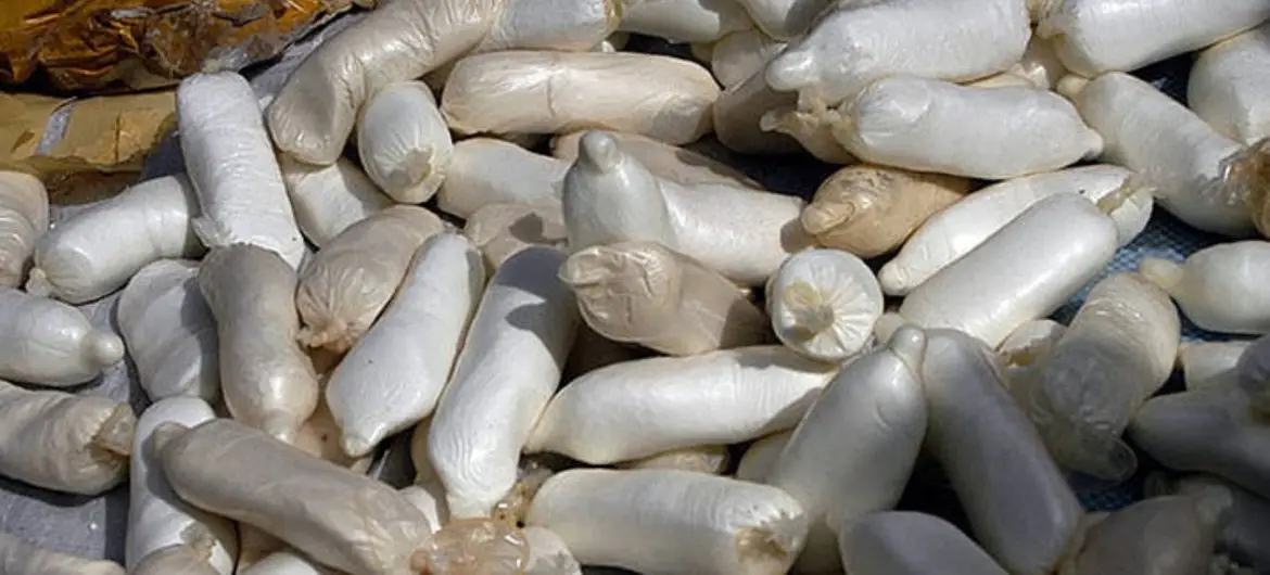 cocaine seized by law enforcement