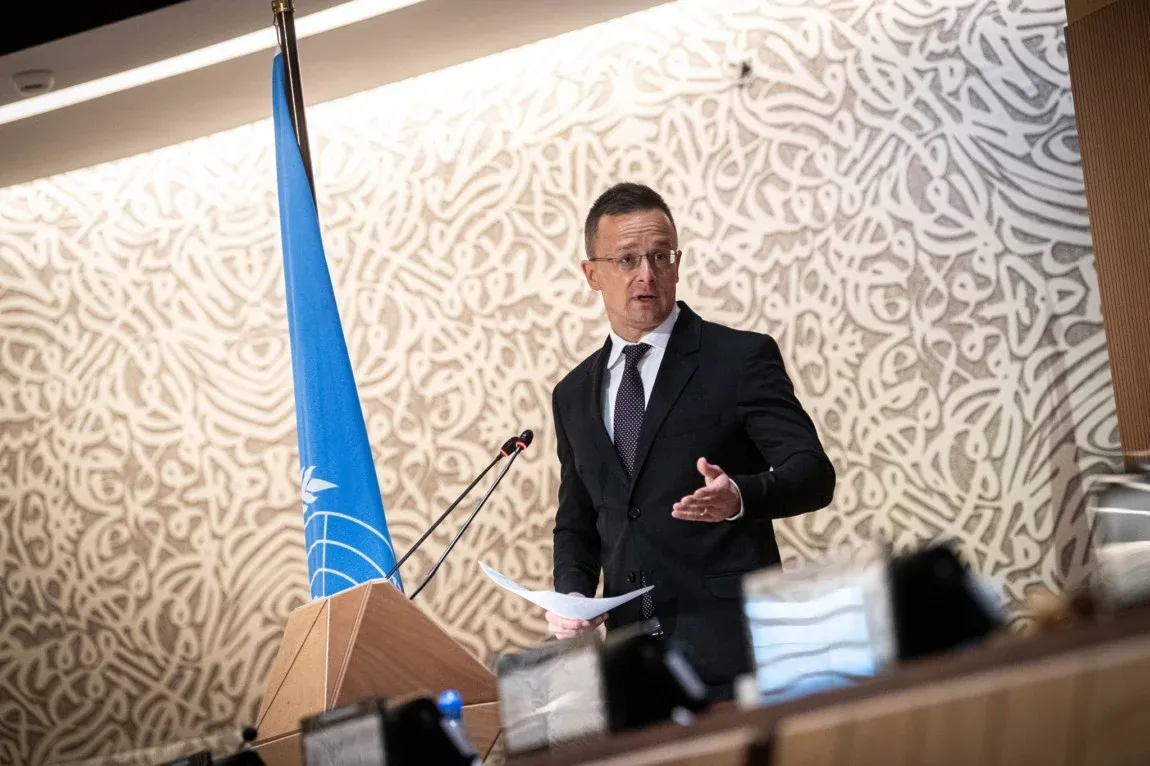 Péter Szijjártó