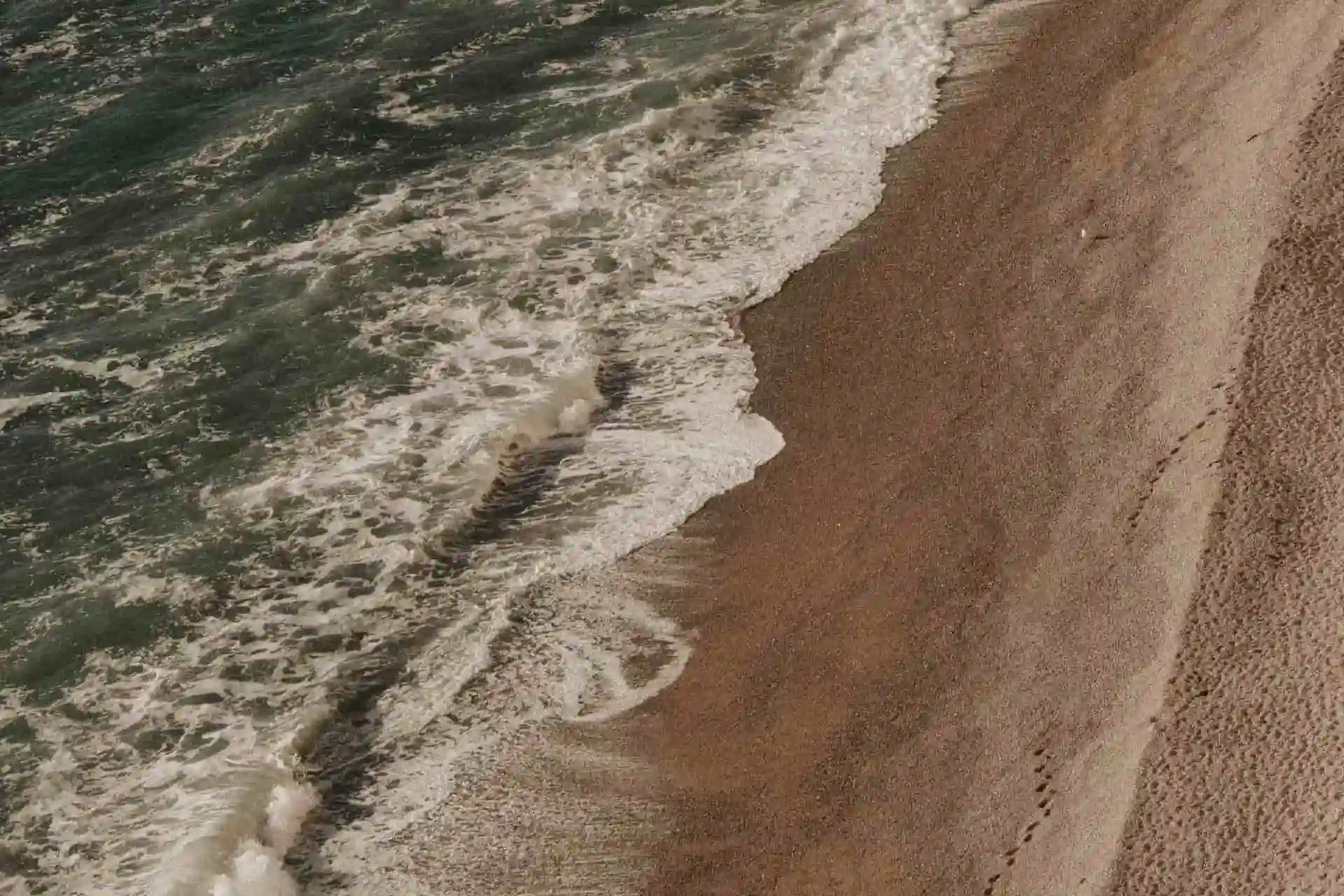 A foamy shoreline seen from above on the beach.